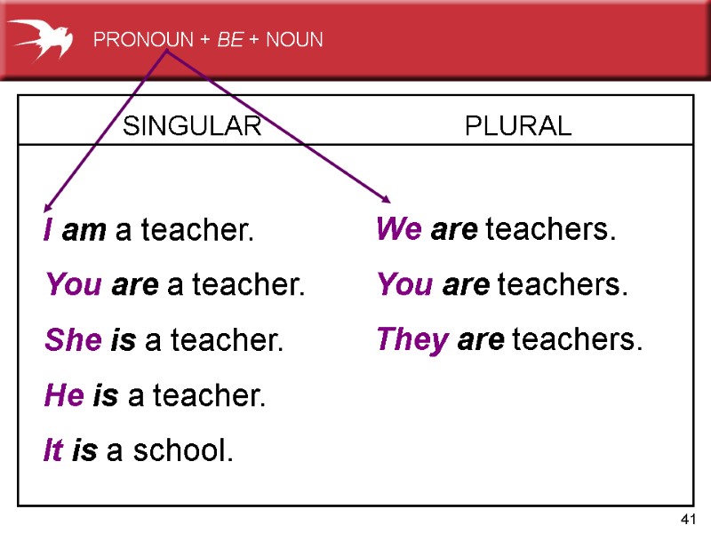 41 SINGULAR   I am a teacher. You are a teacher. She is